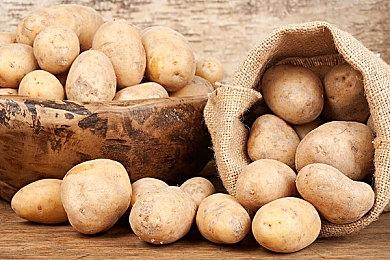 《合金装备崛起 复仇》10周年艺术图  斋藤健治发文感谢